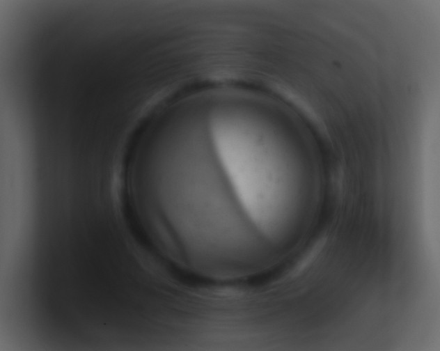 X0000101470592200807071445