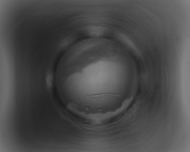 X0000101470596200807071445