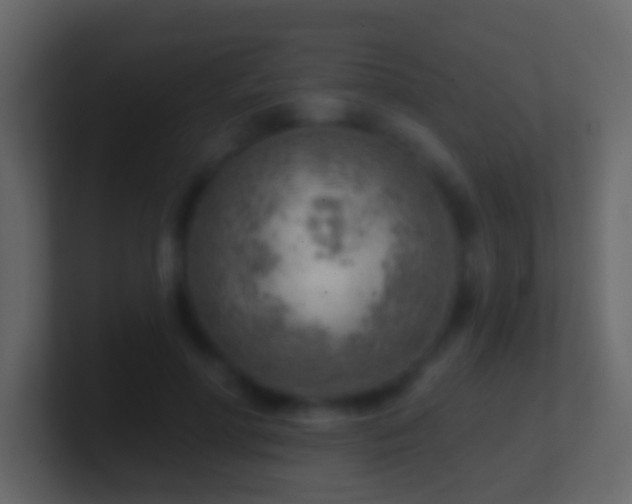 X0000101470598200807071445