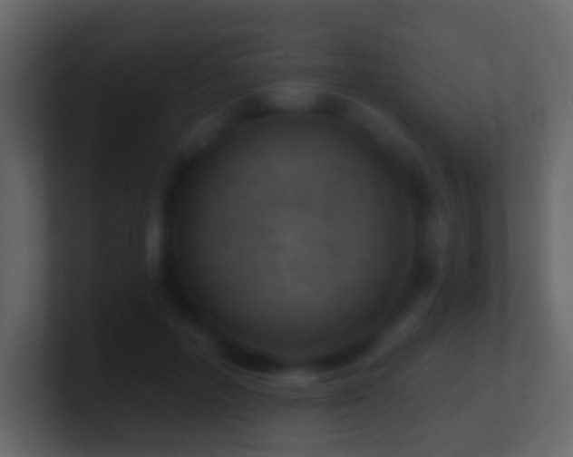 X0000101470600200807071445