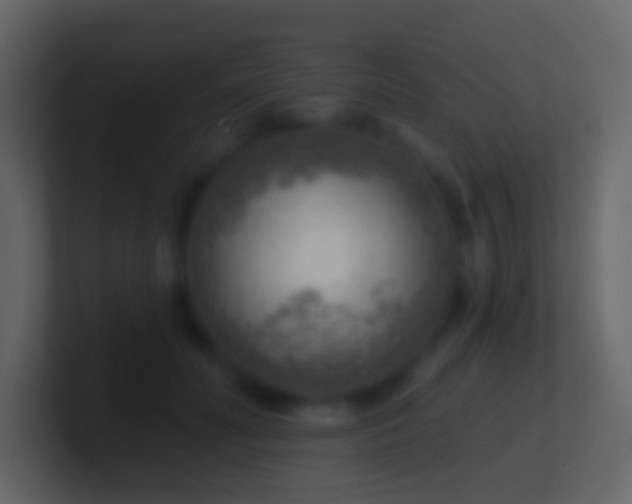 X0000101470606200807071445