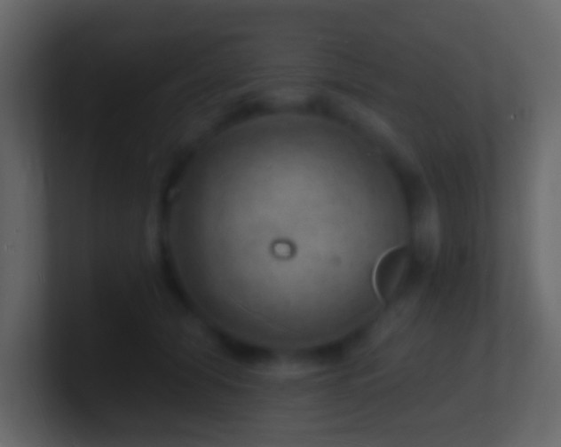 X0000101470608200807071445