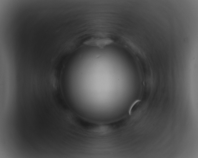 X0000101470609200807071445