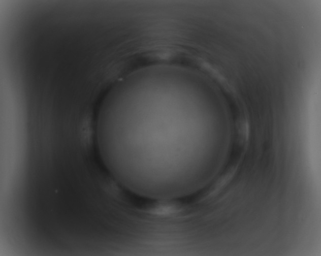 X0000101470612200807071444