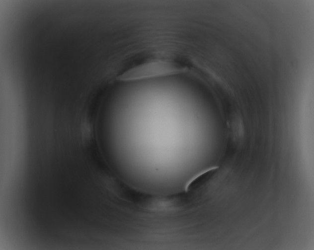 X0000101470613200807071444