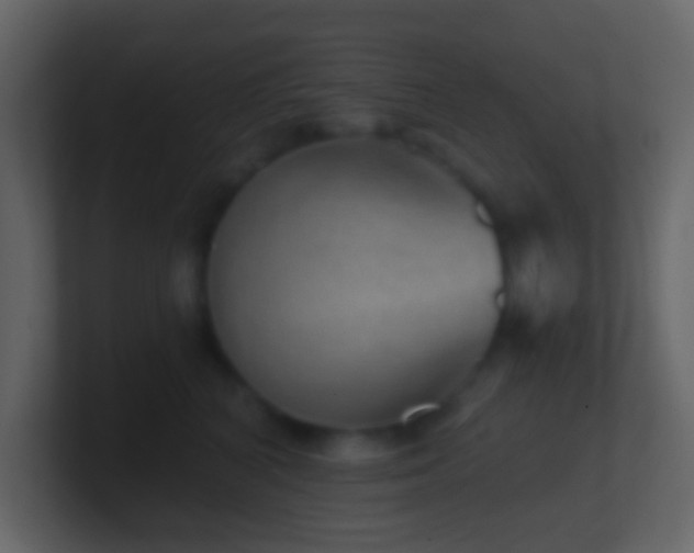 X0000101470616200807071444