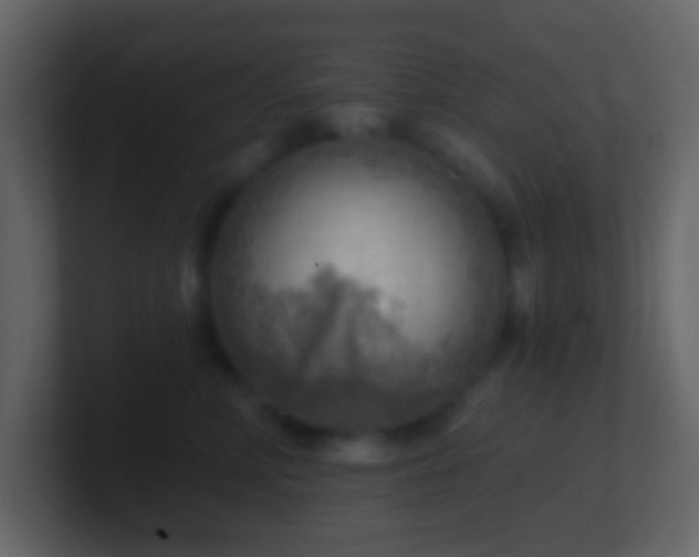 X0000101470618200807071444