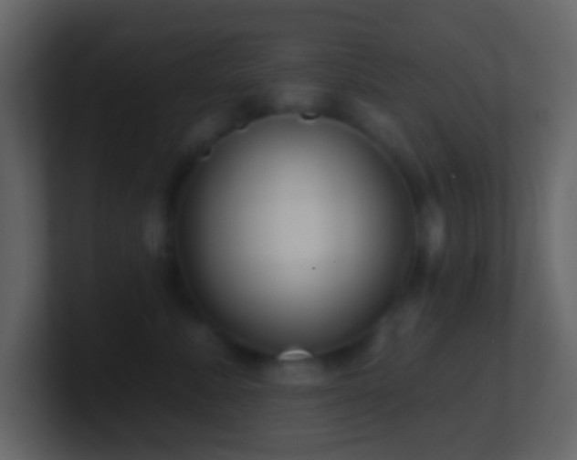 X0000101470619200807071444