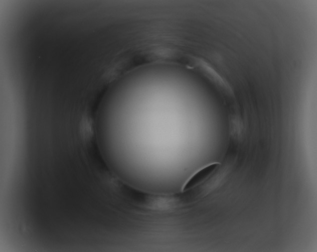 X0000101470621200807071444