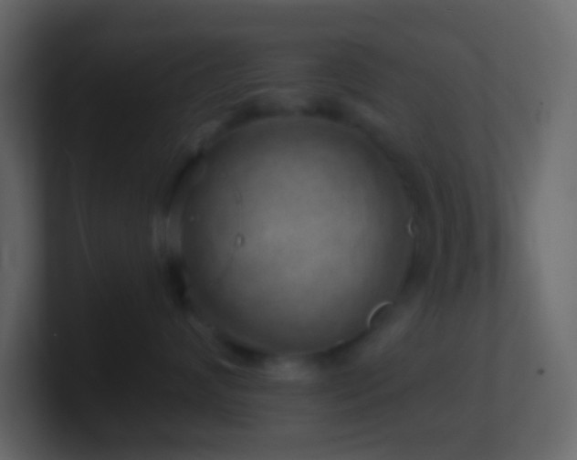X0000101470624200807071444