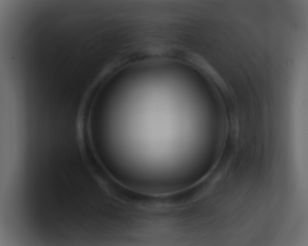 X0000101470626200807071444