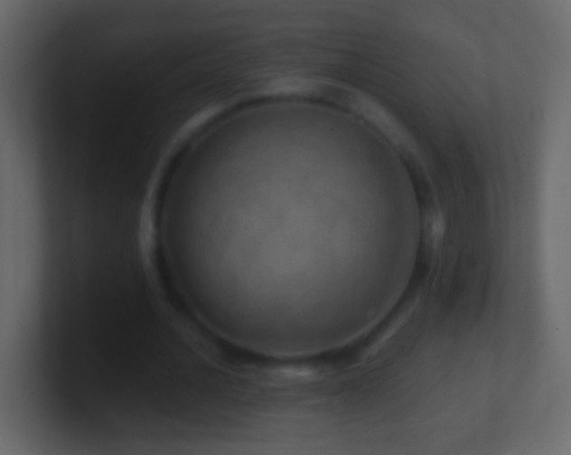 X0000101470628200807071444