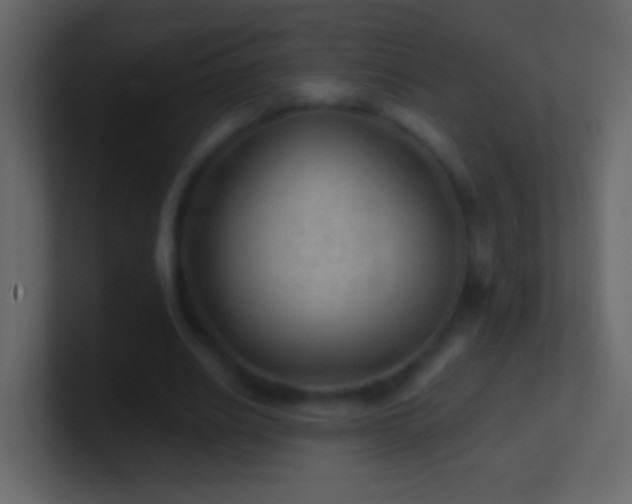 X0000101470630200807071444
