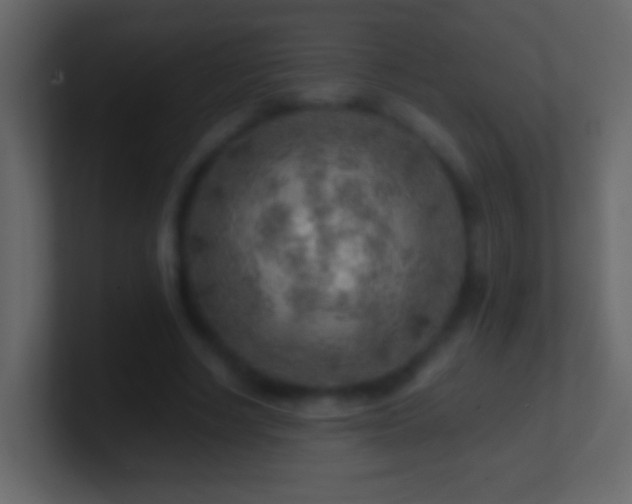 X0000101470634200807071444
