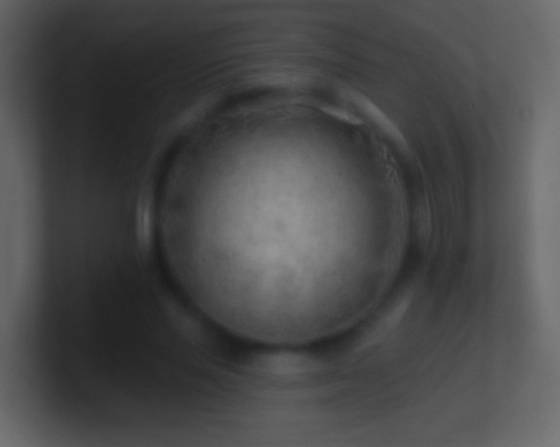 X0000101470637200807071444