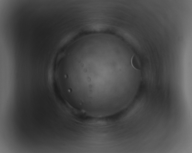 X0000101470640200807071444