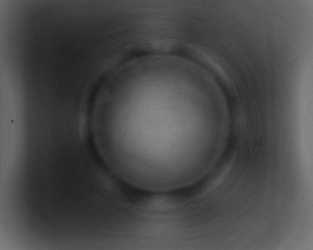 X0000101470641200807071444