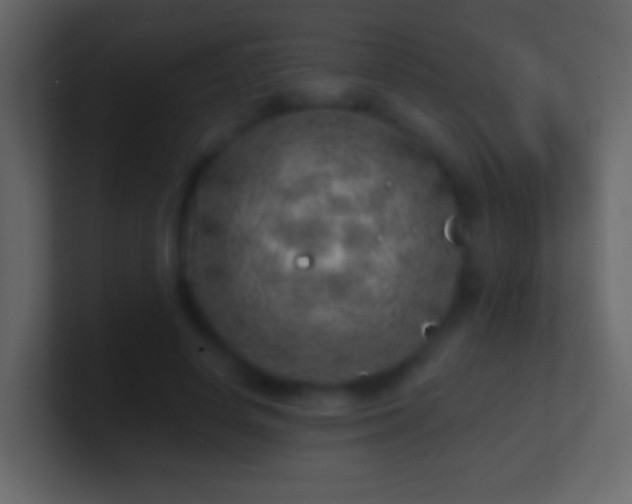 X0000101470642200807071444