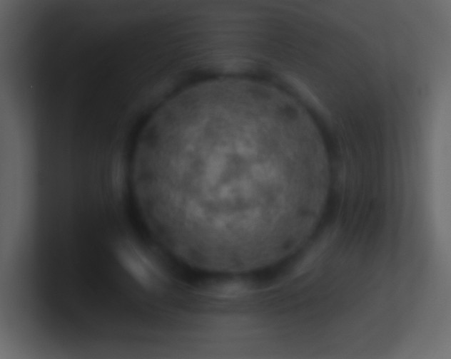X0000101470643200807071444