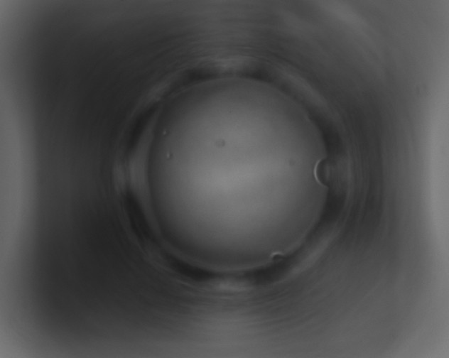 X0000101470644200807071444