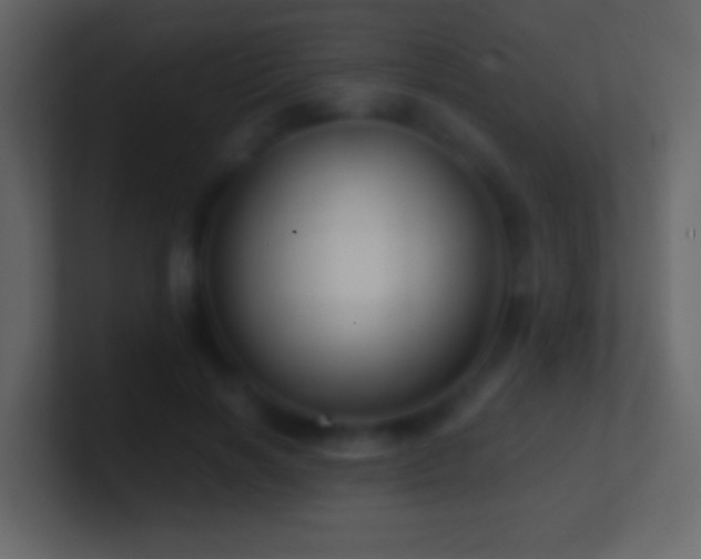 X0000101470646200807071444