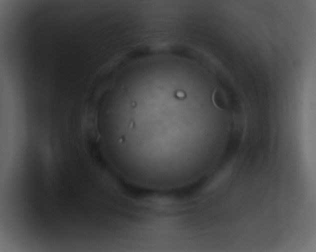 X0000101470648200807071444