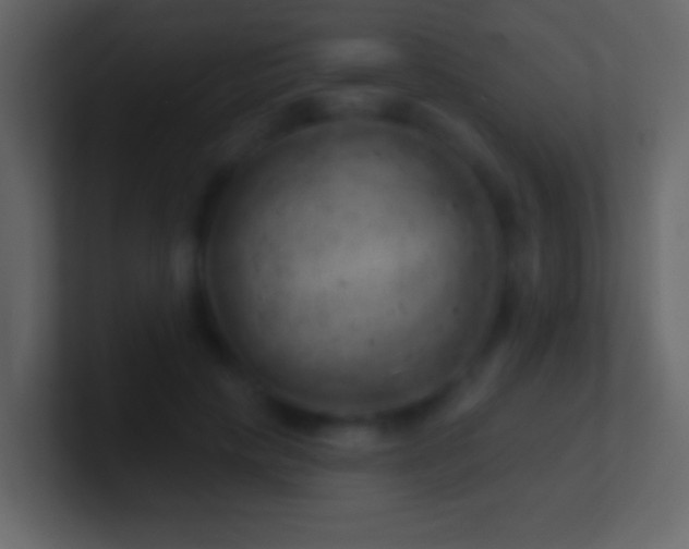 X0000101470649200807071444