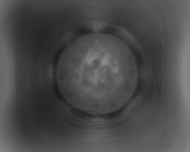 X0000101470650200807071444