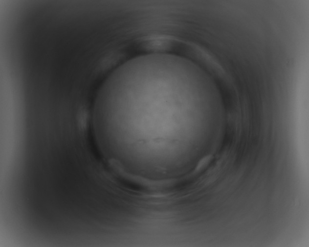 X0000101470652200807071444