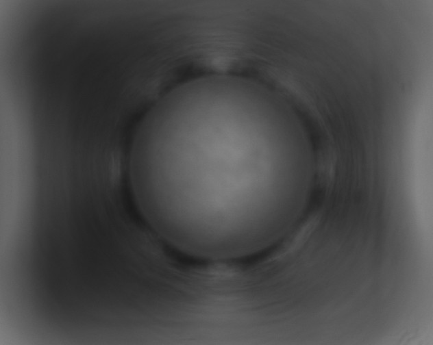X0000101470656200807071444