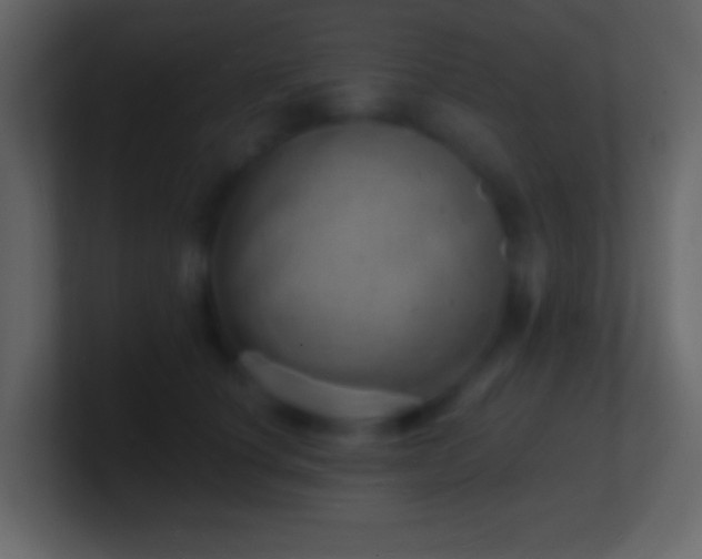 X0000101470660200807071444