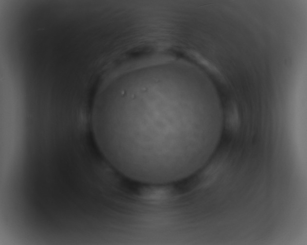 X0000101470661200807071444