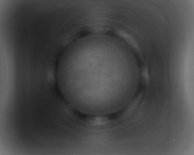 X0000101470663200807071444