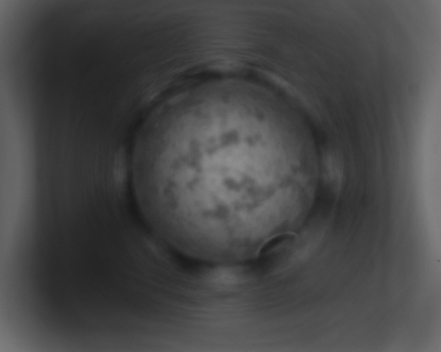 X0000101470664200807071444