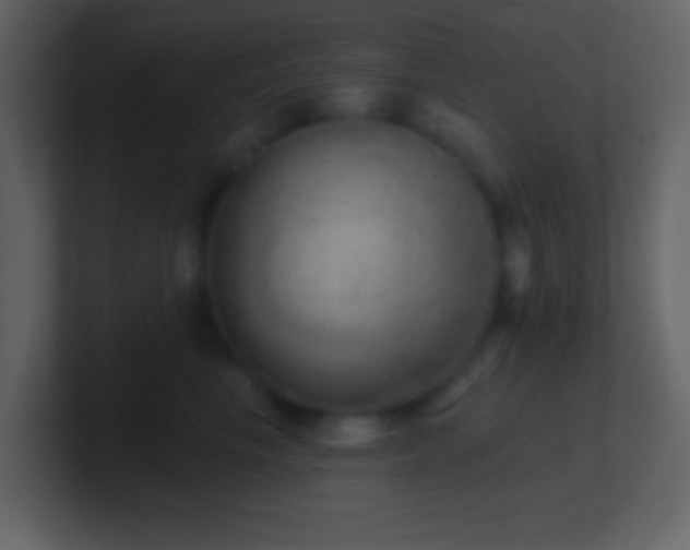 X0000101470665200807071444