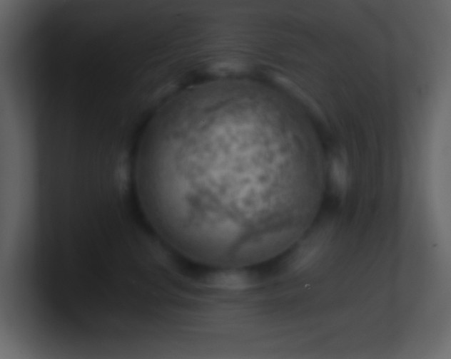 X0000101470668200807071444