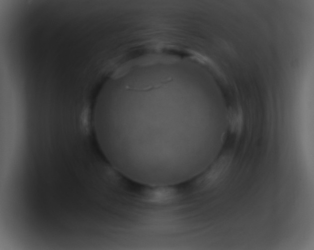 X0000101470670200807071444