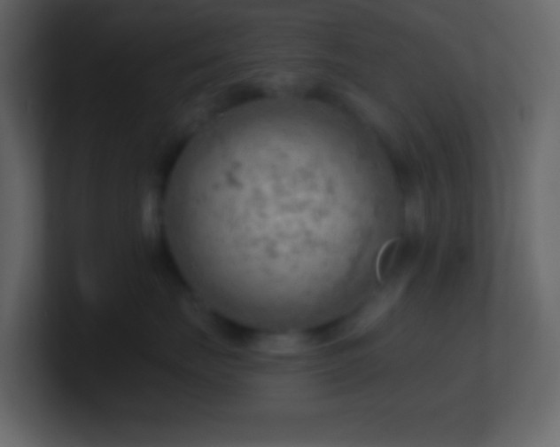 X0000101470671200807071444