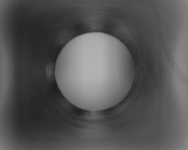 X0000101470672200807071444