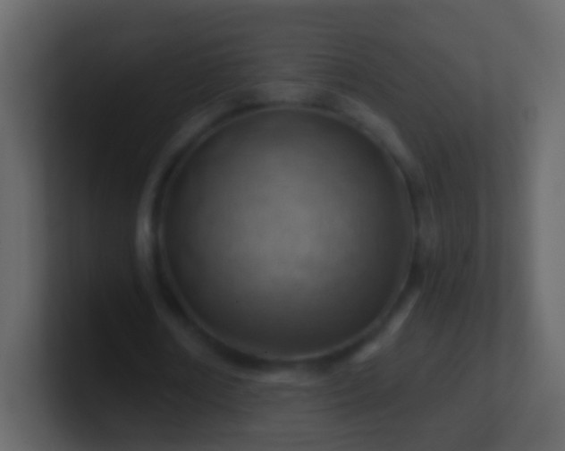 X0000101470674200807071444
