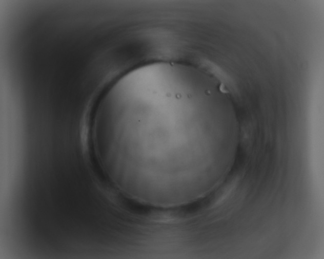 X0000101470679200807071444