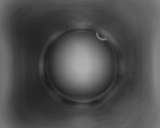 X0000101470680200807071444