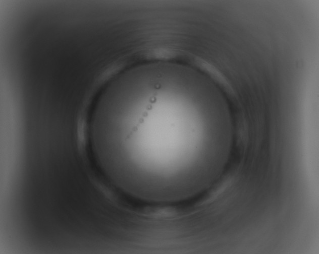 X0000101470683200807071444