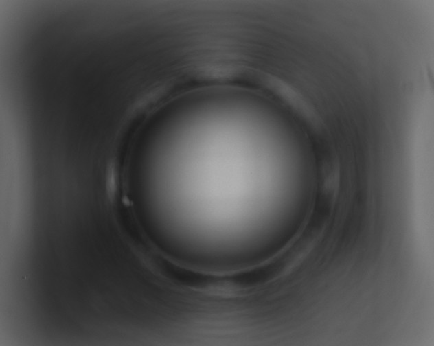 X0000101470685200807071444