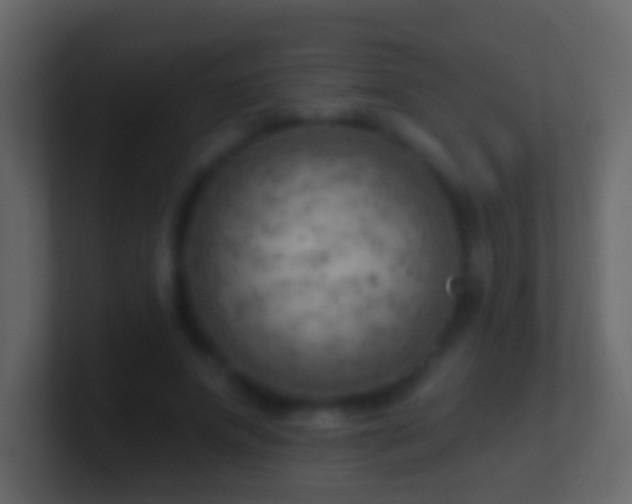 X0000101470687200807071444