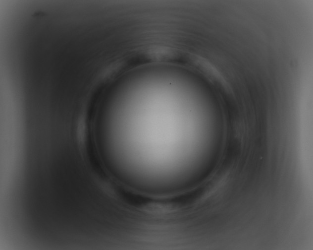 X0000101470690200807071443