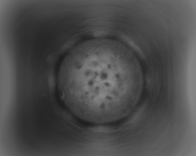 X0000101470691200807071443