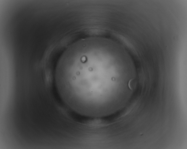 X0000101470695200807071443