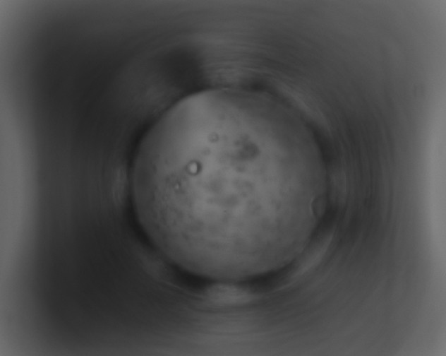 X0000101470699200807071443