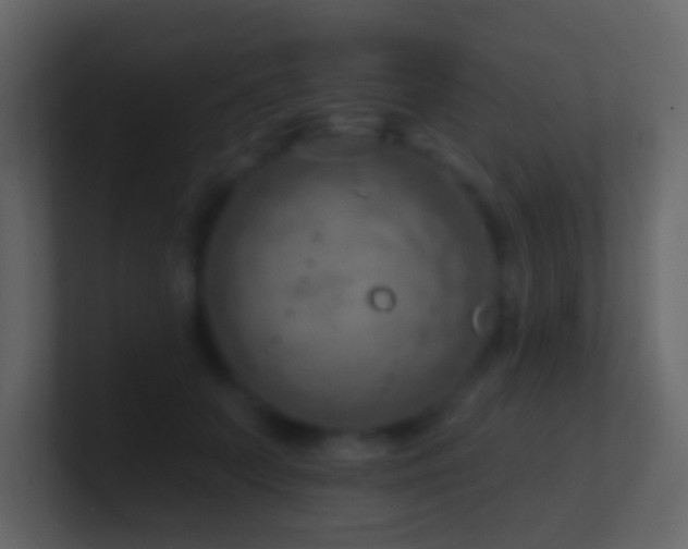 X0000101470703200807071443